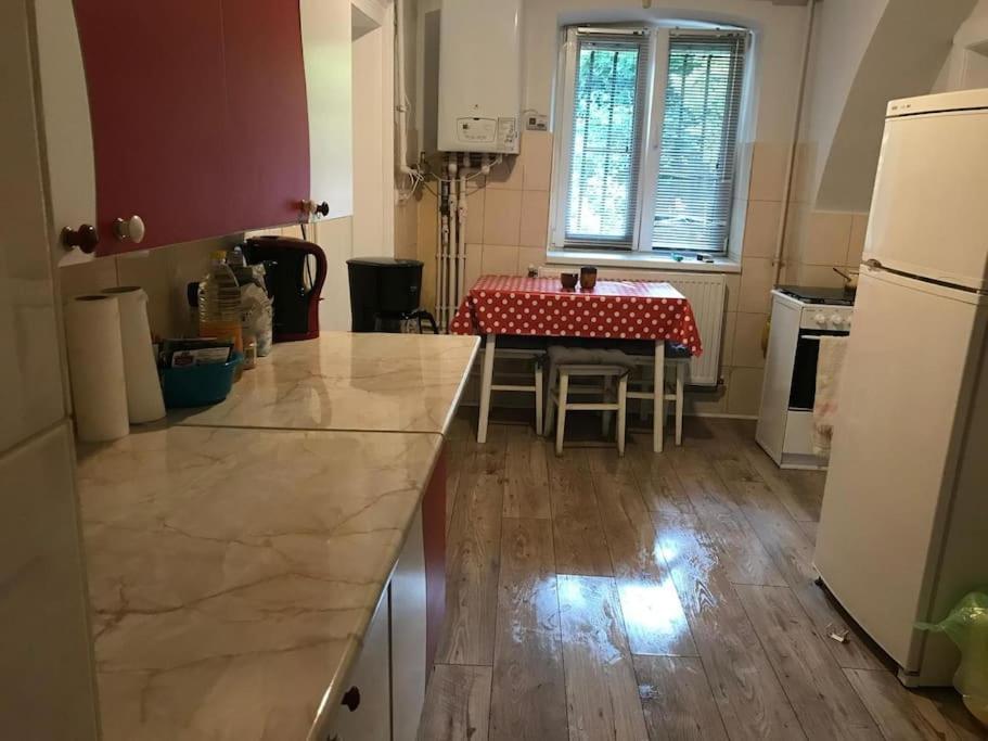 R Castle - 2 Room Apartment Брашов Екстериор снимка