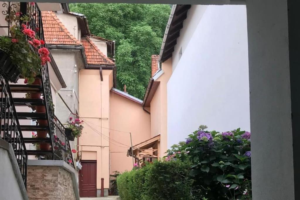 R Castle - 2 Room Apartment Брашов Екстериор снимка